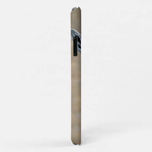 Ariel iPhone 11 カバー (裏面/右)