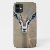 Ariel iPhone 11 カバー (裏面)