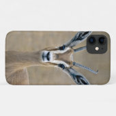 Ariel iPhone 11 カバー (裏面(横))