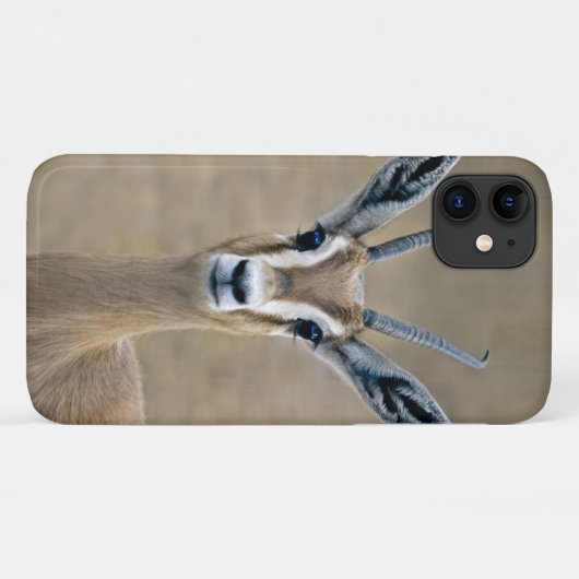 Ariel iPhone 11 カバー (裏面(横))