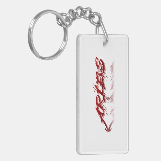 Aries反射 キーホルダー (正面左)