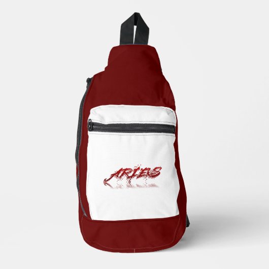 Aries反射 スリングバッグ (正面)