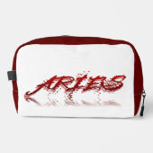 Aries反射 ドップキット (正面)