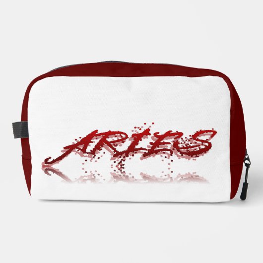 Aries反射 ドップキット (正面)