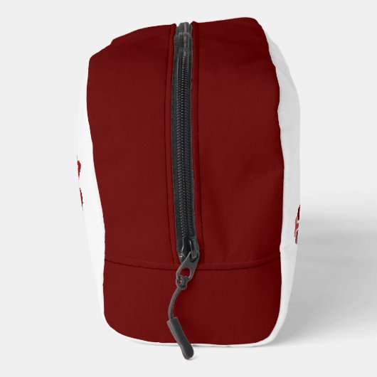 Aries反射 ドップキット (右)