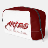 Aries反射 ドップキット (右コーナー)