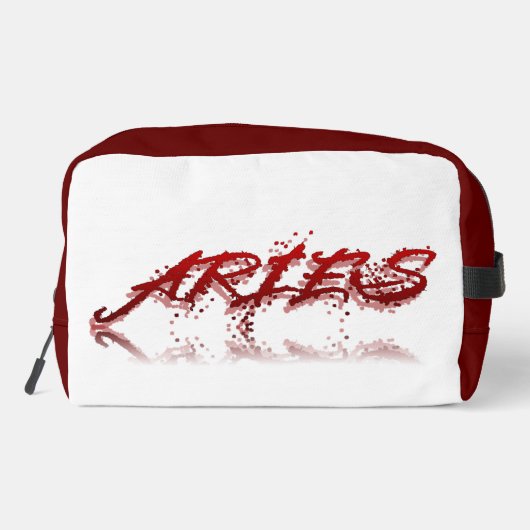 Aries反射 ドップキット (裏面)