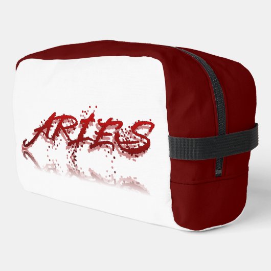 Aries反射 ドップキット (左コーナー)