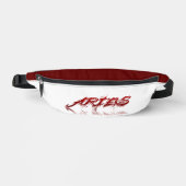 Aries反射 ファニーパック (正面)