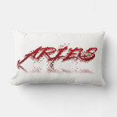 Aries反射 ランバークッション (正面)