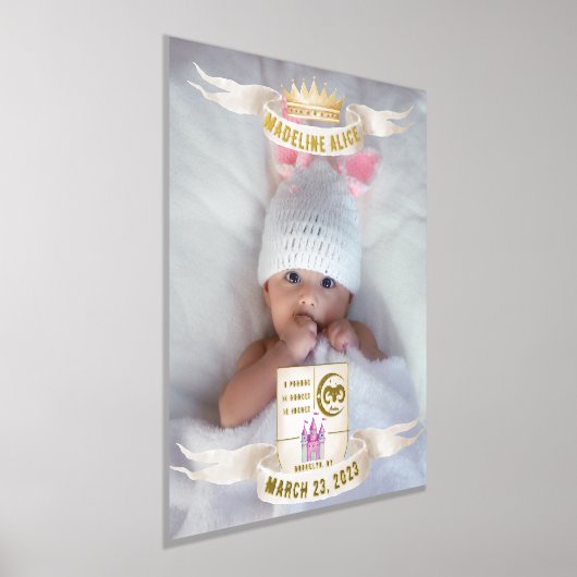 Aries生まれたばかりのベビー名フォト統計金ゴールドシルバー 箔ポスター (レイダウン)