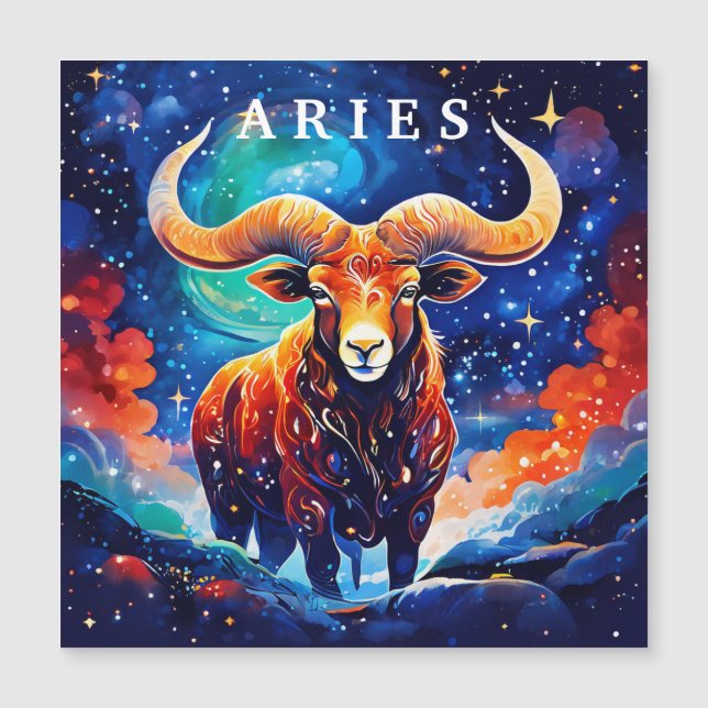 Aries〔占星術の〕十二宮図 (正面)