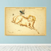 Aries and Musca -ヴィンテージ画像の〔占星術の〕十二宮図記号 キャンバスプリント (インサイチュ (ウッドフロア))