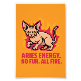 Aries Energy Sphynx Cat Fire Illustration フォトプリント