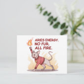 Aries Energy Sphynx Cat No Fur All Fire Art シーズンポストカード (スタンド正面)