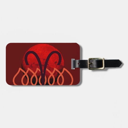 Aries Luggage Tag ラゲッジタグ (正面横)