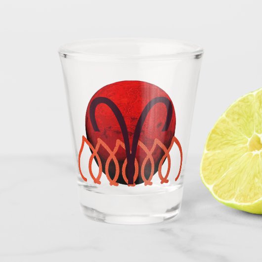 Aries Shot Glass ショットグラス (正面)