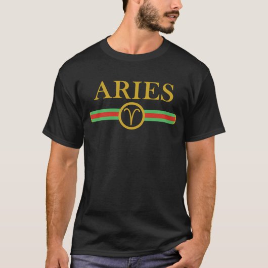 aries tシャツ (正面)