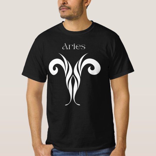 Aries Tシャツ (正面)