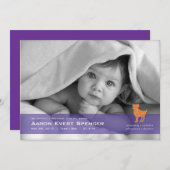 Aries the Ram Photo Birth Announcement Card 案内状 (正面/裏面)