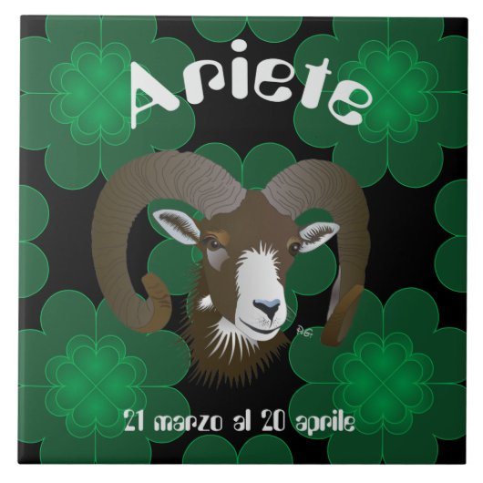 Ariete 21 marzo al 20 aprile Tiles タイル (正面)