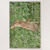 Arisdale Arts:野生のうさぎ立ち ジグソーパズル (縦)