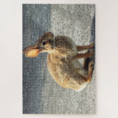 Arisdale Arts：野生のウサギドライブウェイに座る ジグソーパズル (縦)