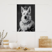 Aristocratic German Shepherd Dog Portrait, Funny ポスター (キッチン)