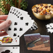 ARIZONA – ホースシューベンドA - Red Rock トランプ (インサイチュ)