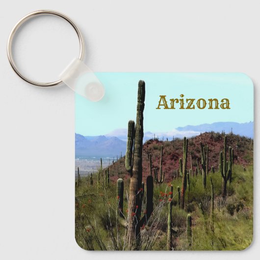 Arizona saguaro mountain landscape  キーホルダー (正面)