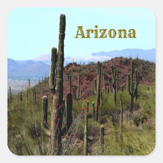 Arizona saguaro mountain landscape  スクエアシール