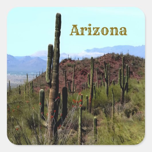 Arizona saguaro mountain landscape  スクエアシール (正面)