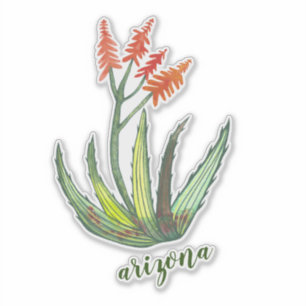 ARIZONA Water color Aloe Vera Succulent FLowers シール