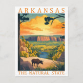 Arkansas the Natural State USA Travel Place ポストカード (正面)