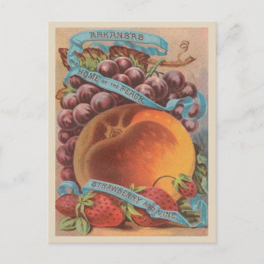 Arkansas Vintage Peach Strawberry Grapes ポストカード (正面)