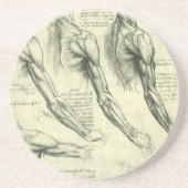 Arm and Shoulder Anatomy by Leonardo da Vinci コースター (正面)