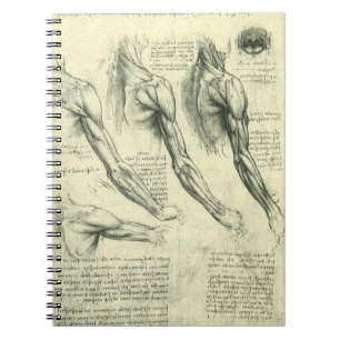 Arm and Shoulder Anatomy by Leonardo da Vinci ノートブック