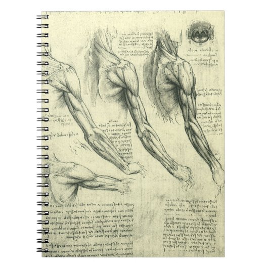 Arm and Shoulder Anatomy by Leonardo da Vinci ノートブック (正面)