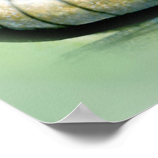 Armadillo ポスター (角)