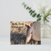 Armadillo Hello From Oklahoma Post Card ポストカード (スタンド正面)
