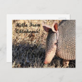 Armadillo Hello From Oklahoma Post Card ポストカード (正面/裏面)