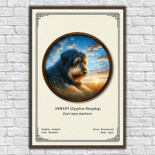 Armant (Egyptian Sheepdog) Zoology Series ポスター