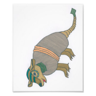 Arnold the Armadillo print フォトプリント