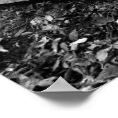 ArnosVale4 ポスター (角)