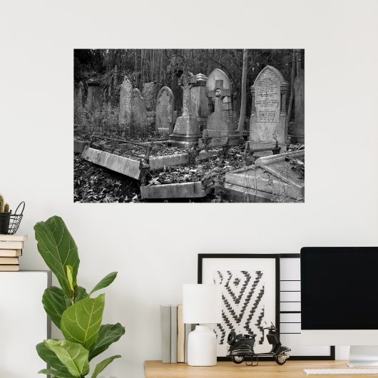 ArnosVale4 ポスター (ホームオフィス)