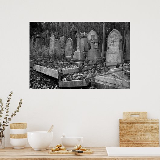 ArnosVale4 ポスター (キッチン)