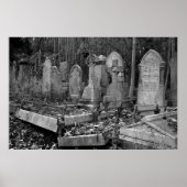 ArnosVale4 ポスター (正面)