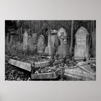 ArnosVale4 ポスター