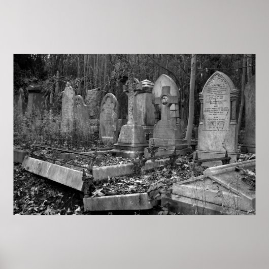 ArnosVale4 ポスター (正面)