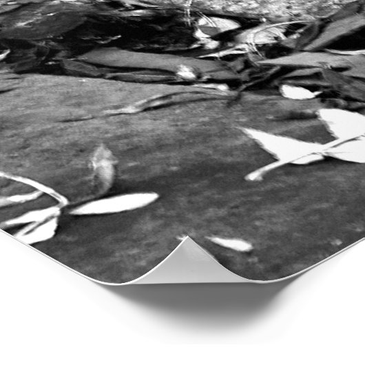 ArnosVale7 ポスター (角)